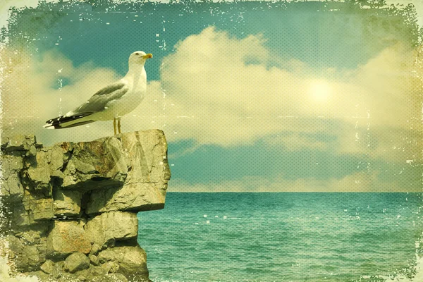 Чайка, сидячи на скелі. Морський пейзаж тлі природи — стокове фото
