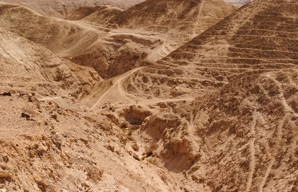 Dune arancio strutturate nel deserto — Foto Stock