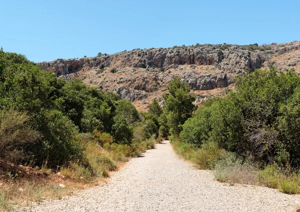 Estrada ao ar livre entre duas fileiras de arbustos em direção a rochas cinza e laranja — Fotografia de Stock