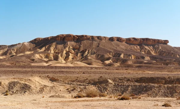 Wyblakły żółte wzgórza w kamiennej pustyni — Zdjęcie stockowe