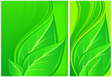 Leaves on green background clipart