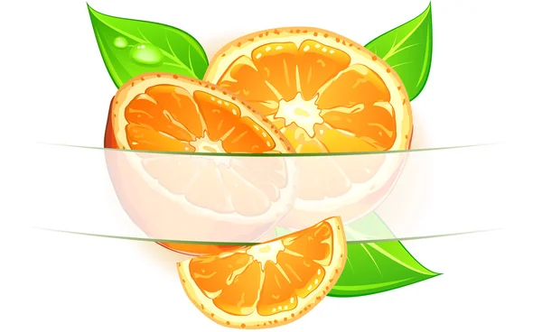 Апельсини з листям — стоковий вектор