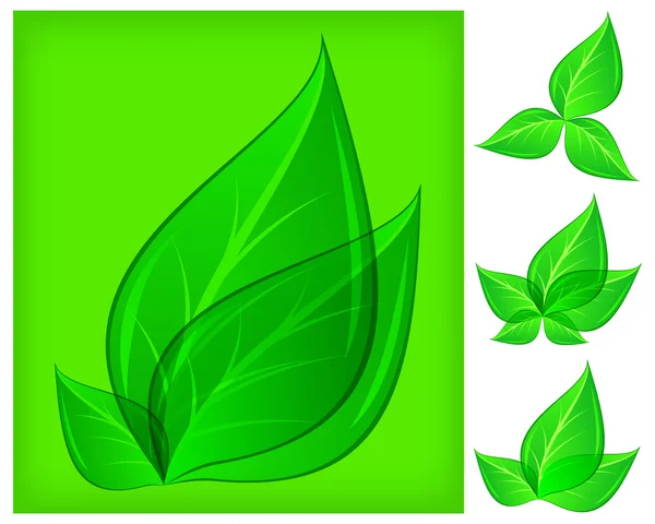 Blätter auf grün und weiß — Stockvektor