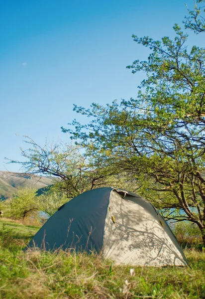 stock image Tent is standing under a tree