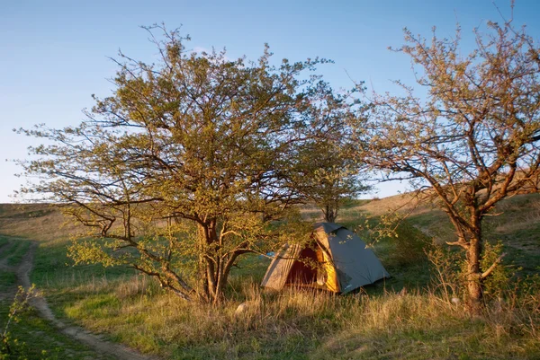 Палатка стоит под деревом — стоковое фото