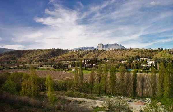 Vista de la montaña y viñedos Demerdzhi — Foto de Stock