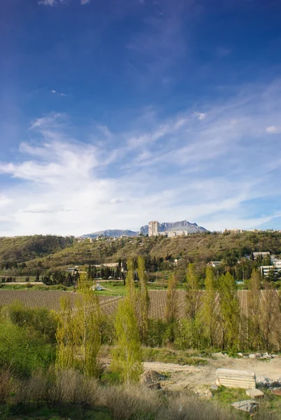 มุมมองของภูเขาและสวนองุ่น Demerdzhi — ภาพถ่ายสต็อก