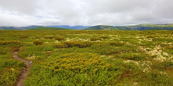 stock image Rondane Norway