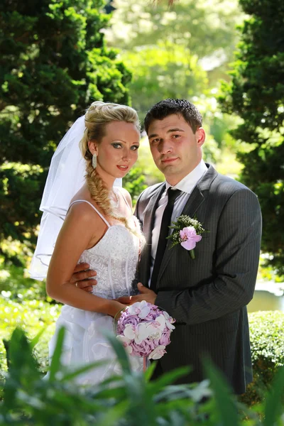 Wedding couple portrait — Stock Photo, Image