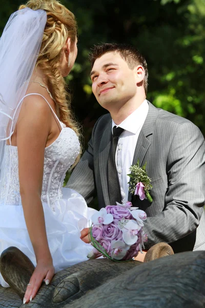 Весілля - наречений і наречений в парку — стокове фото