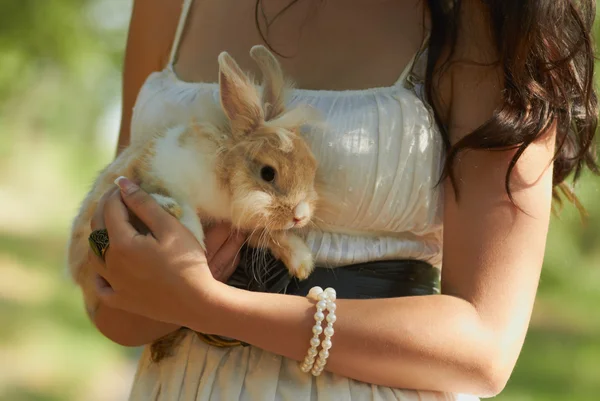 Девушка держит декоративного кролика — стоковое фото