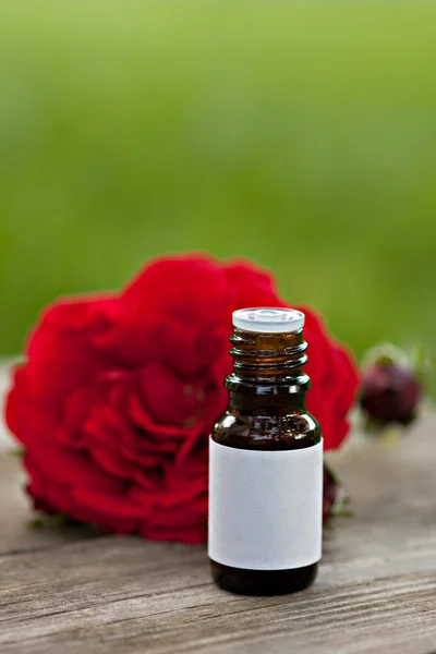 瓶精油和红玫瑰 — 图库照片