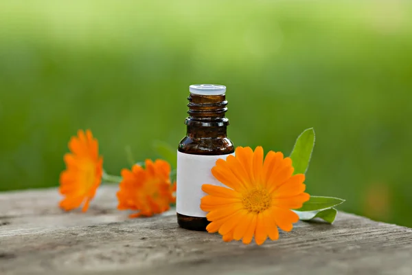 Flessen van etherische olie en calendula bloemen — Stockfoto