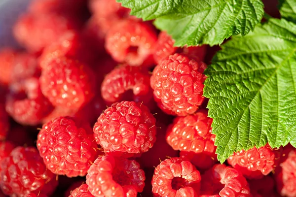 Closeup sweet raspberries — Stock Photo, Image