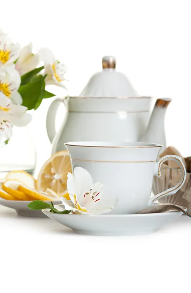Egy csésze tea és teáskanna. — Stock Fotó