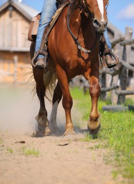 Western horse riding clipart