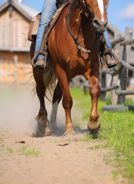 西部の乗馬 — ストック写真