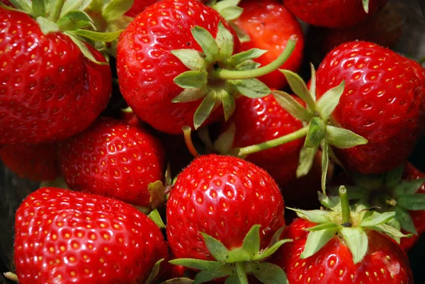 stock image Strawberry close up