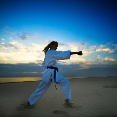 Karate on sunset beach clipart