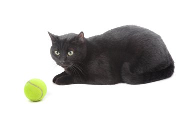 Cat with tennis ball clipart