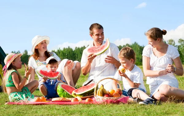 Familie picknick — Stockfoto