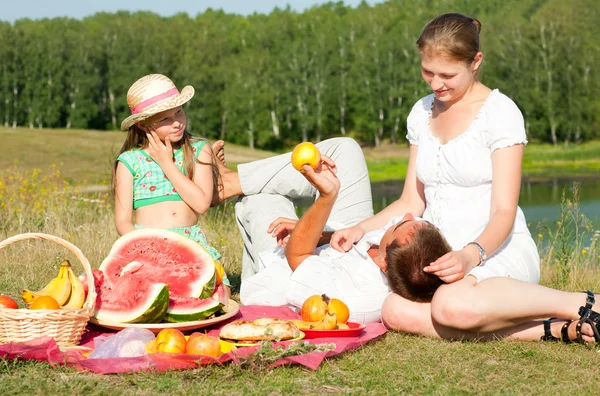Семейный пикник — стоковое фото