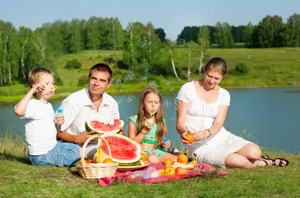 Familie picknick — Stockfoto