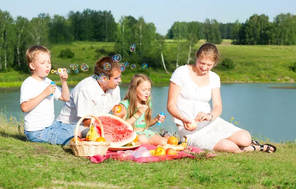 家族のピクニック — ストック写真
