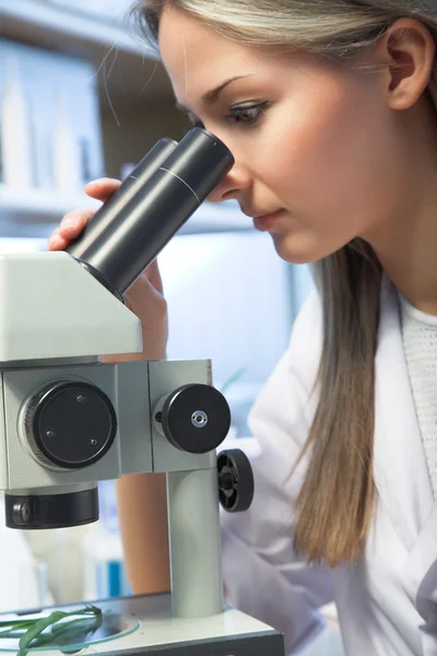 Researcher with microscope — Stock Photo, Image