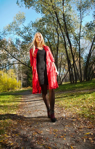 Meisje in de herfst park — Stockfoto