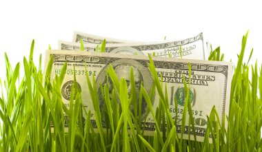 Dollars in the green grass clipart