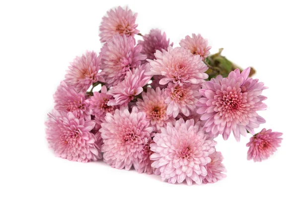 Stock image Autumn bouquet of chrysanthemums