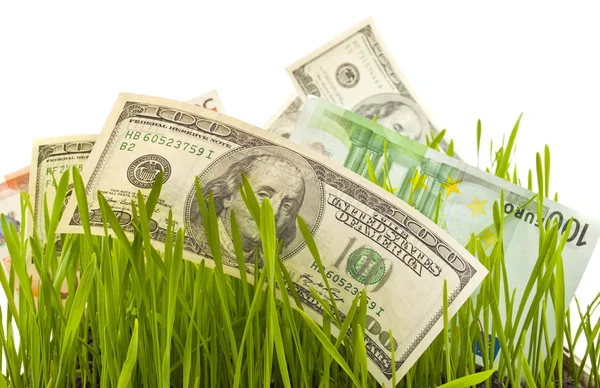 Dólares en la hierba verde —  Fotos de Stock