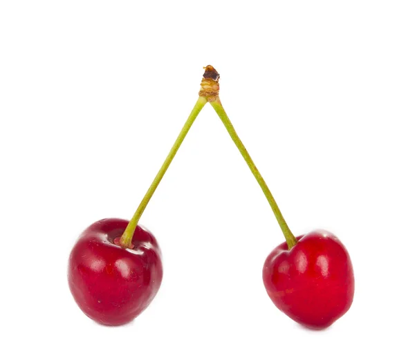 Cherries isolated — Stock Photo, Image