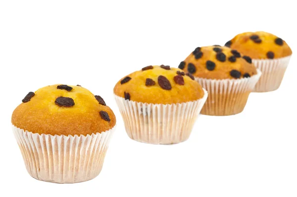 Muffin con uvetta isolata — Foto Stock