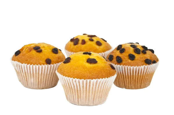 Muffin mit Rosinen isoliert — Stockfoto