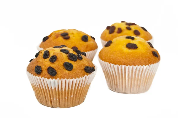 Muffin met rozijnen geïsoleerd — Stockfoto