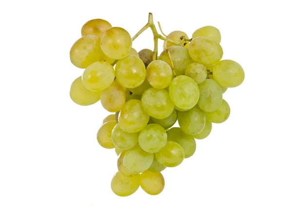 Grapes Isolated — Stock Photo, Image