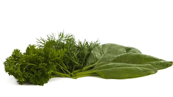 Herbs isolated — Stock Photo, Image