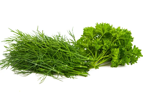 Parsley herb isolated — Stock Photo, Image
