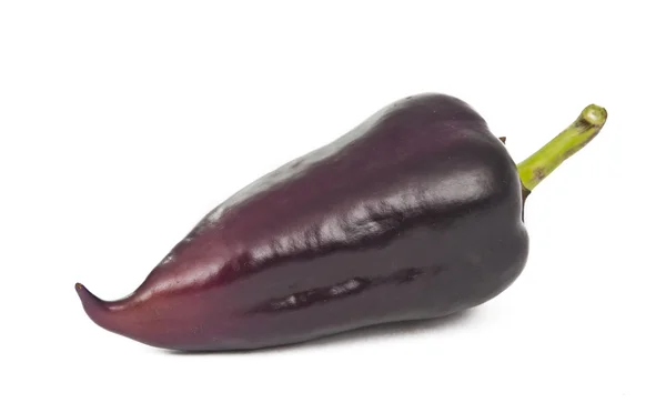 Purple peppers isolated — Stock Photo, Image