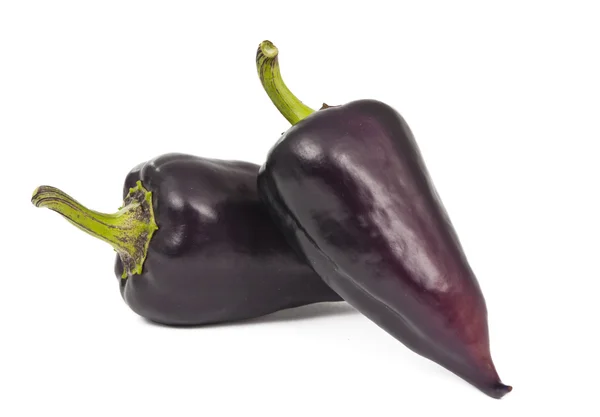 Purple peppers isolated — Stock Photo, Image