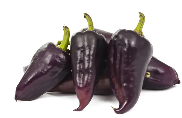 Фіолетовий перці, ізольовані — стокове фото