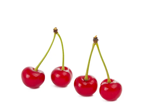 Cherries isolated — Stock Photo, Image