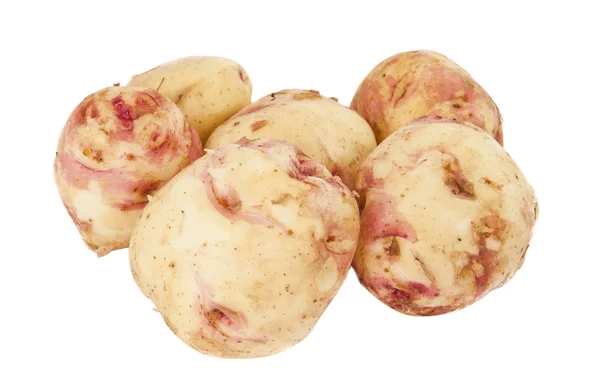 Ziemniaki na białym tle — Zdjęcie stockowe