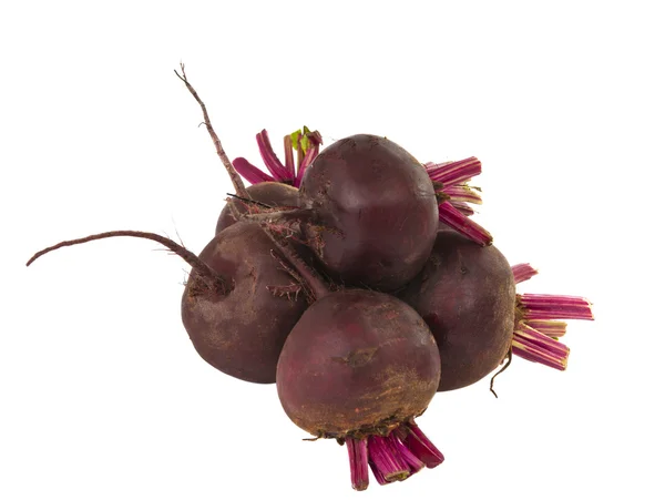 Beets isolated — Stock Photo, Image