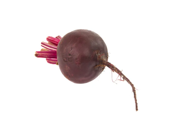 stock image Beets isolated