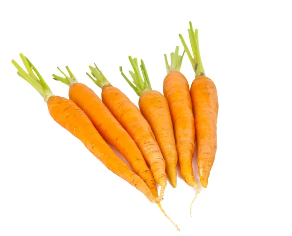 Isolerede friske gulerødder - Stock-foto