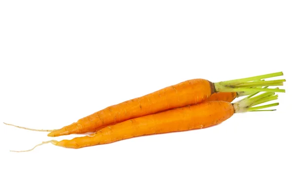 Fresh carrots isolated — Stock Photo, Image