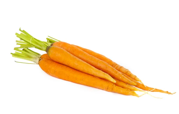 Zanahorias frescas aisladas —  Fotos de Stock